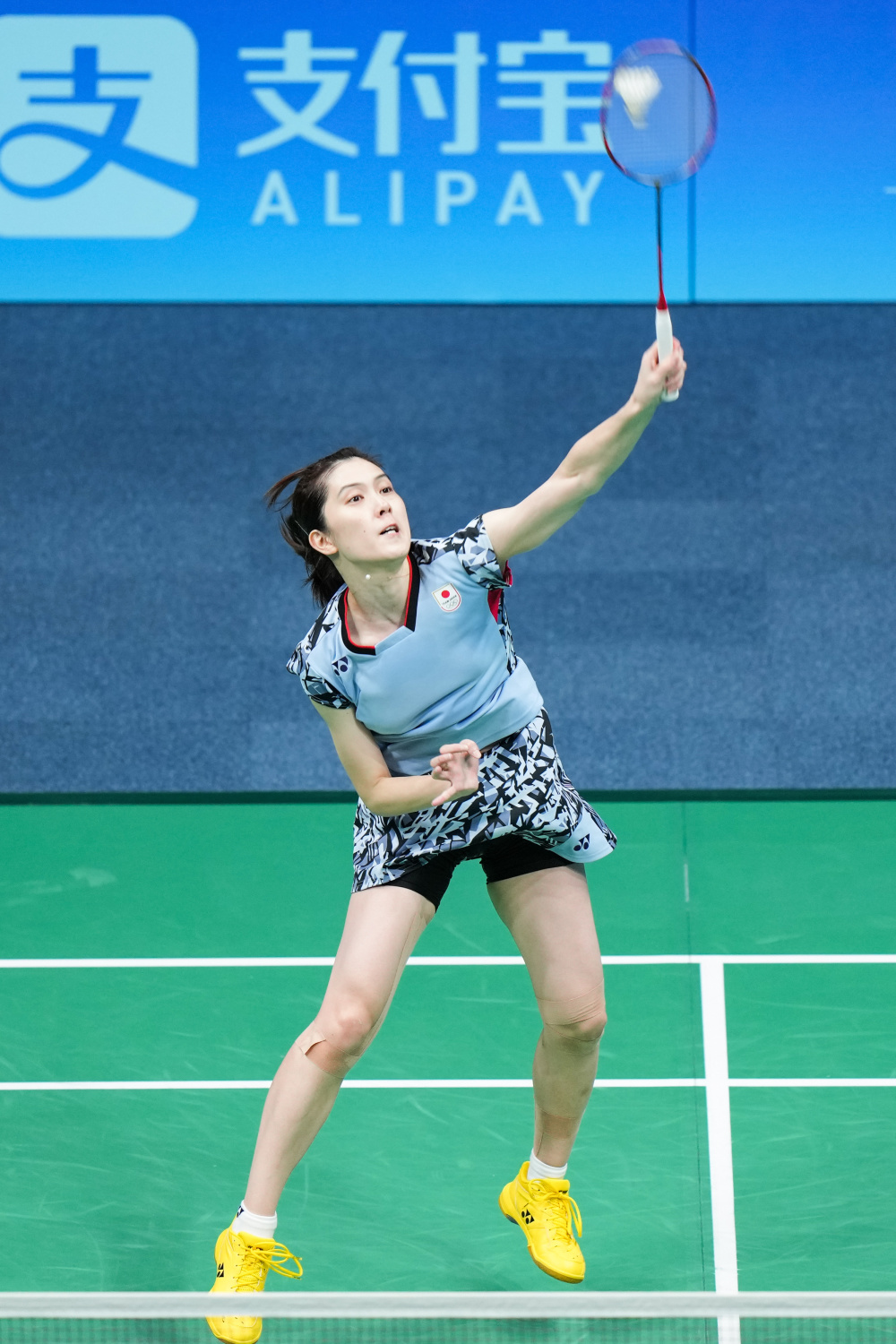 级以上的体 级以上的体