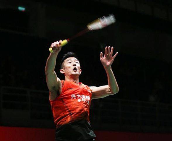 术多样性迈 术多样性迈