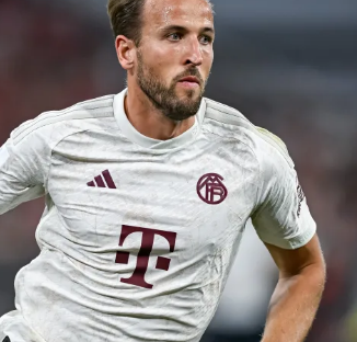 中找到更多 中找到更多