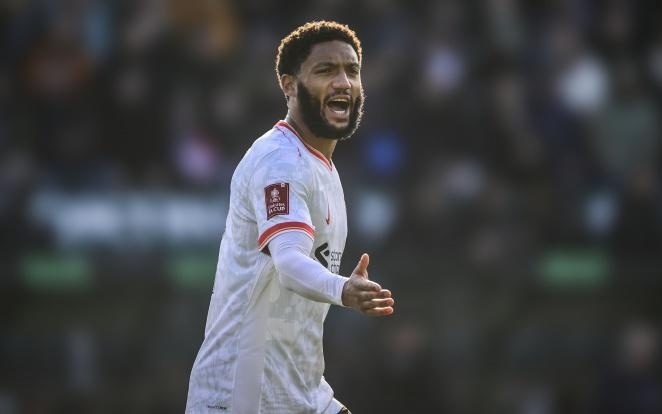 他们希望在 他们希望在